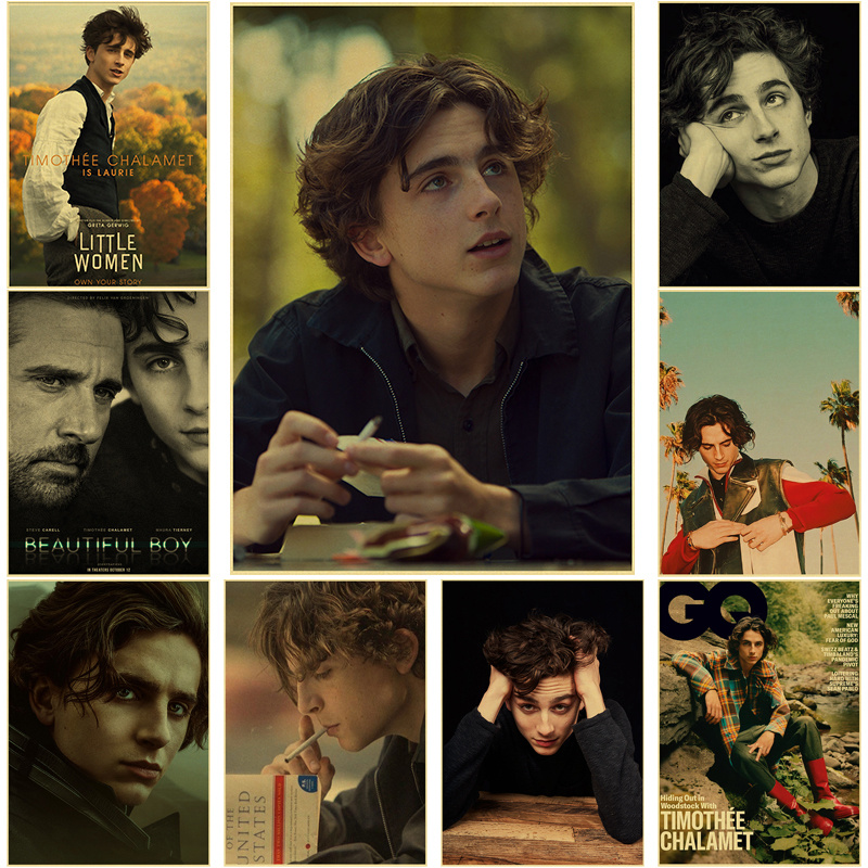 Timothee Chalamet Retro Canvas - Home Bar And Theater 评论和价格