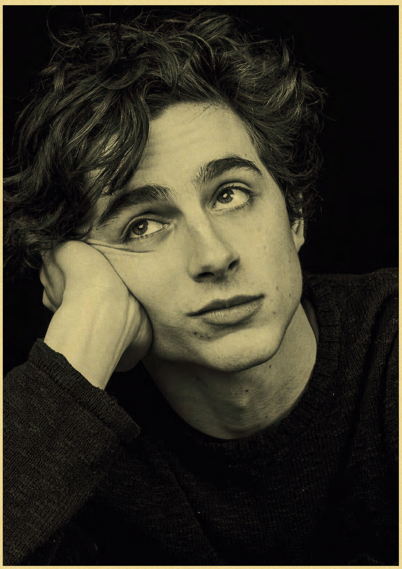 Timothee Chalamet Retro Canvas - Home Bar And Theater 评论和价格